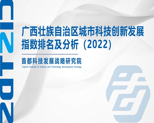 老外操的女人嗷嗷视频【成果发布】广西壮族自治区城市科技创新发展指数排名及分析（2022）